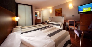 CHAMBRE DOUBLE AVEC LIT SUPPLÉMENTAIRE + Accès gratuit au spa Hotel Nuevo Torreluz